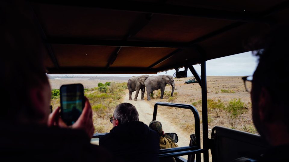 Legjobb látnivalók és hogyan javítja az internet a látogatásodat – africa