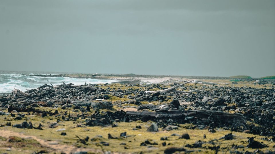 Üdvözöljük a Holland Antillákon – netherlands antilles