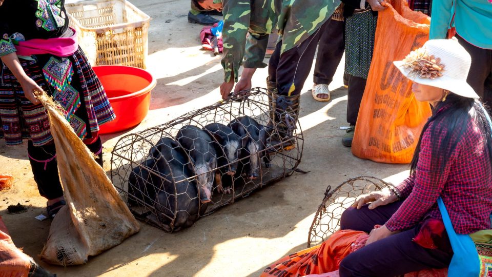 Benin kultúrája, hagyományai és gyakorlati tanácsok utazóknak – benin