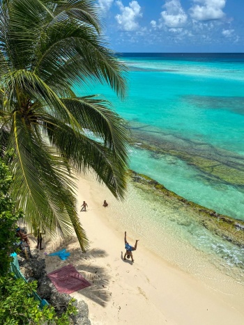 eSim-barbados
