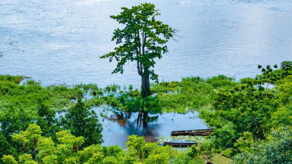 A Kongói Köztársaság bemutatása – congo republic