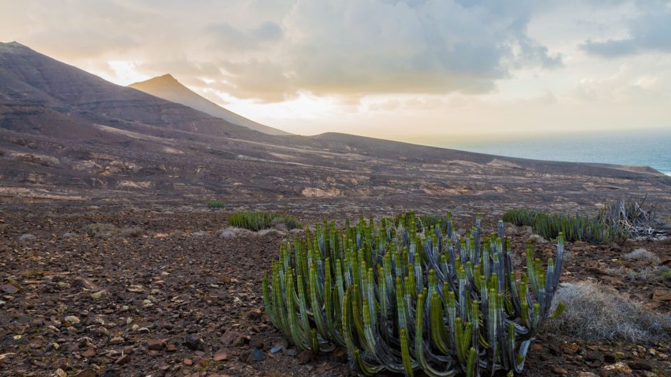 Bevezetés a Zöld-foki-szigetekre – cape verde