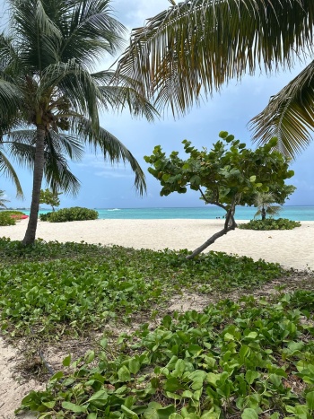 eSim-cayman islands