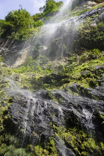 eSim-dominica