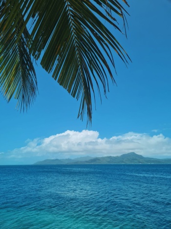 eSim-fiji