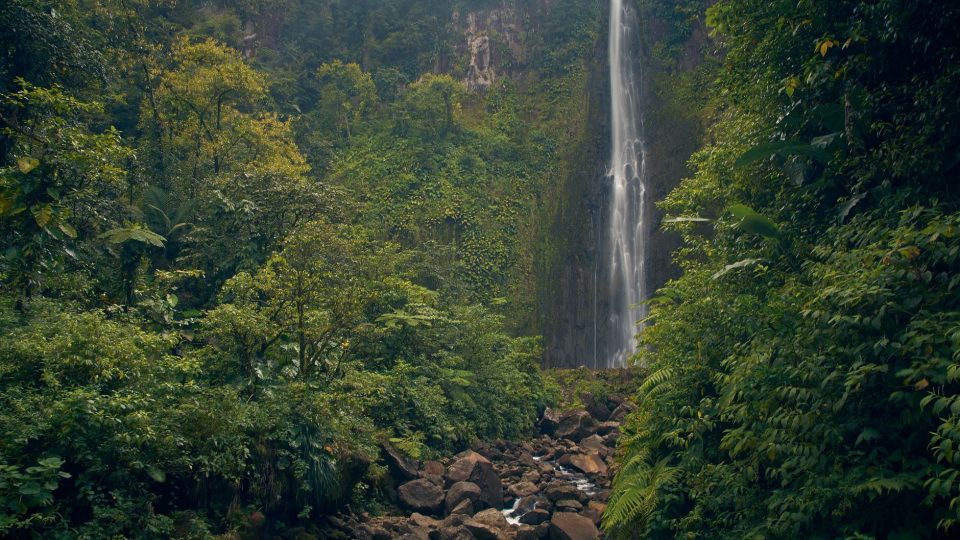 Üdvözöljük Guadeloupe-on – guadeloupe