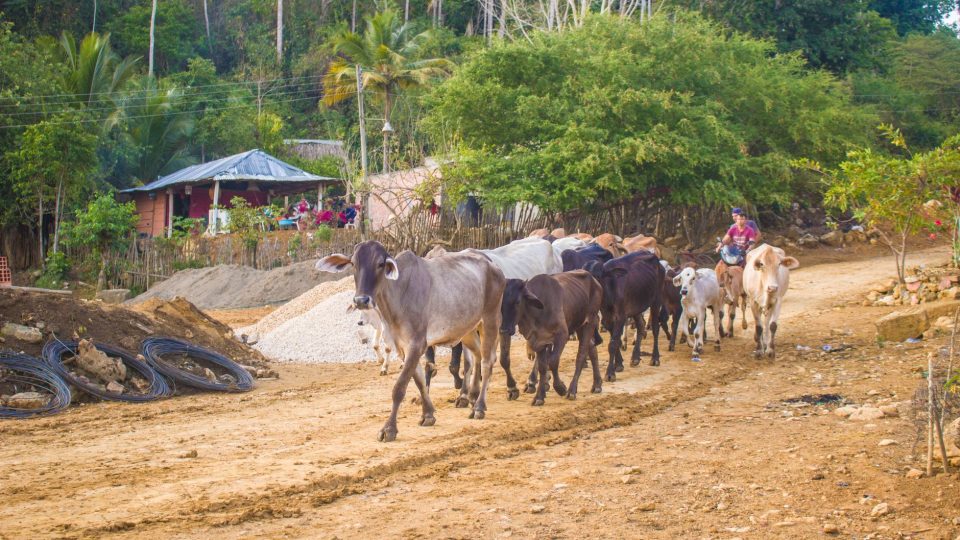 Honduras felfedezése: Kötelező látnivalók és hogyan fokozza az utazást a kapcsolat – honduras