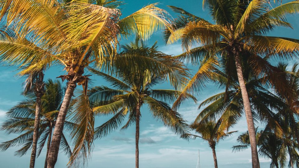 Miért fontos a mobilkapcsolat Jamaicában – jamaica