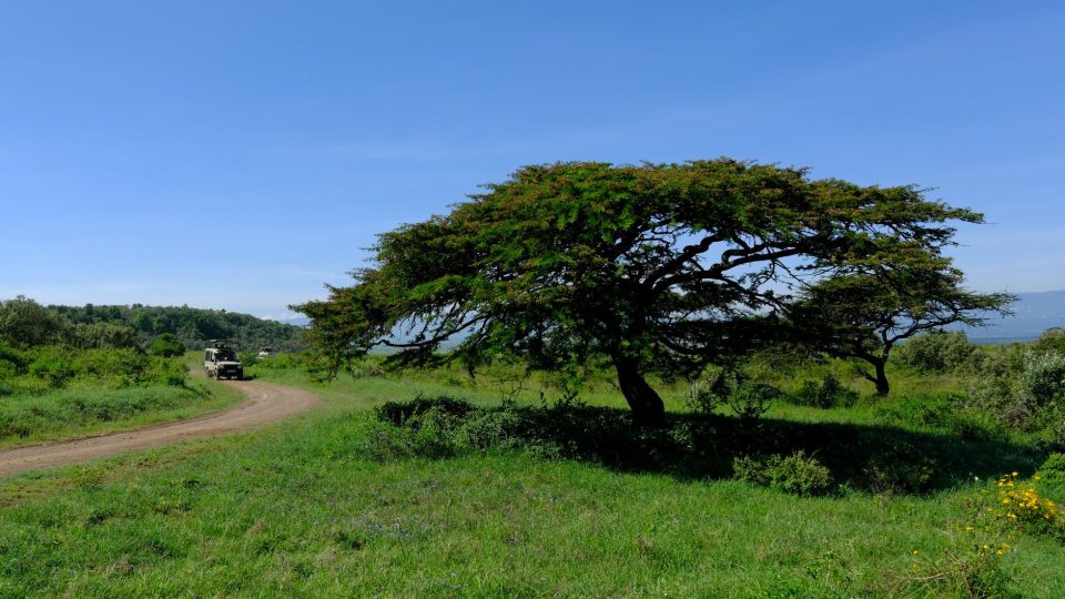Bevezetés Kenyába – kenya
