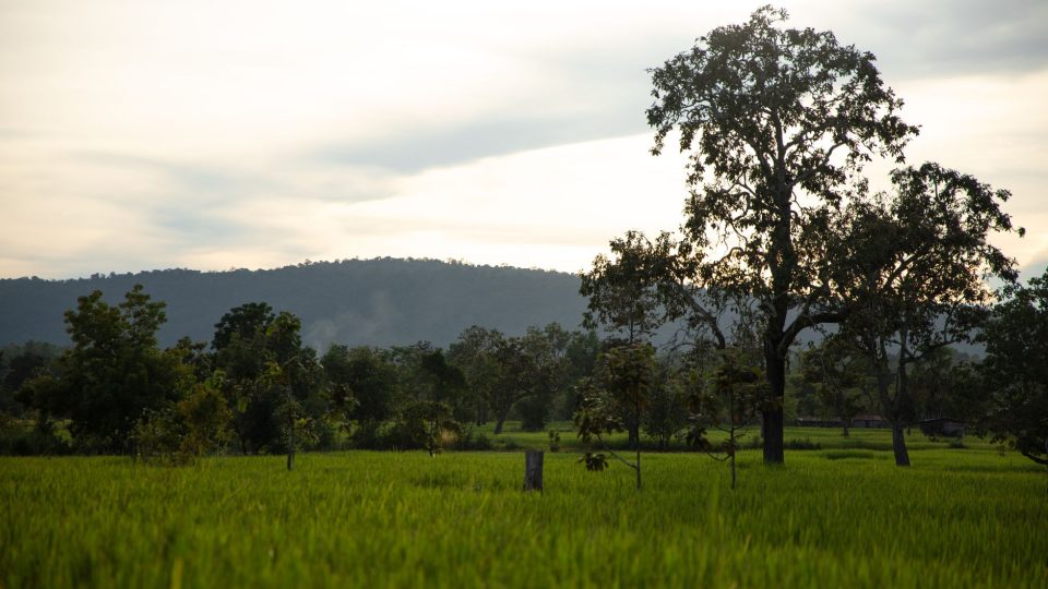 Laosz felfedezése: Utazás Délkelet-Ázsia békés szívébe – laos