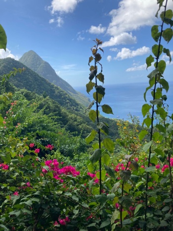 eSim-saint lucia