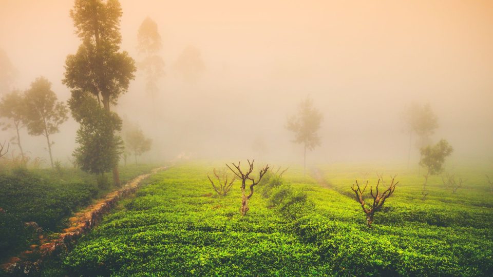 Bevezetés – sri lanka