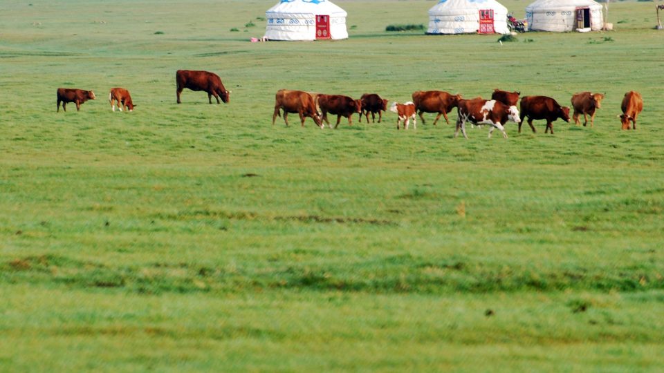 Mongólia felfedezése – mongolia