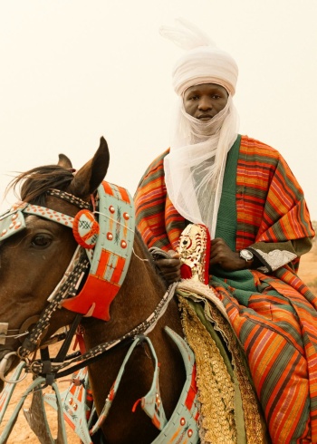 eSim-niger