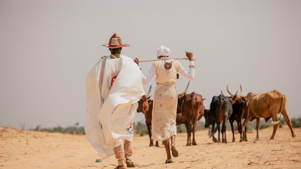 Niger felfedezése megbízható mobilkapcsolattal – niger