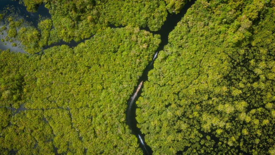 Üdvözöljük Szingapúrban: Az Oroszlánváros a zsebében – singapore