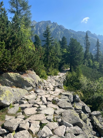 eSim-slovakia