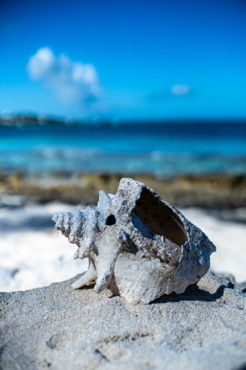 eSim-turks & caicos islands