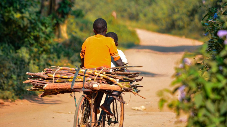 Érdekes tények és kulturális tippek – uganda